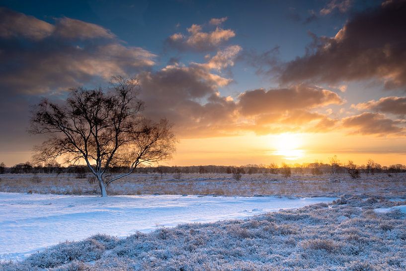 Lever de soleil hivernal sur le Balloerveld par Marc van der Duin