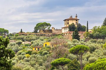 View of trees and houses in Florence, Italy