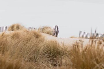 Duinen in het Westduinpark in Scheveningen van Anne Zwagers