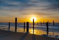 Gouden zon bij palendorp Petten