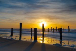  Goldene Sonne im Palendorp Petten