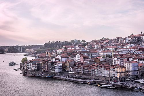 Porto X