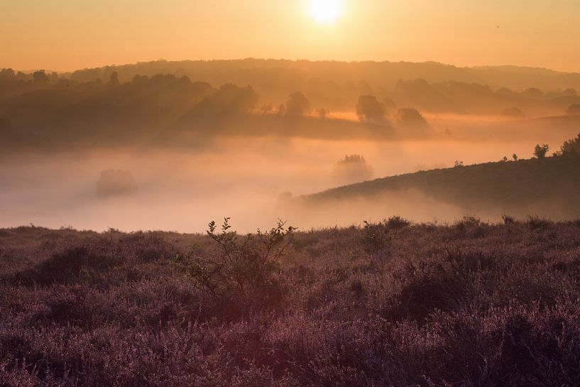 the posse bank by hanny bosveld