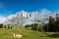 Berglandschap Oostenrijk van Ilya Korzelius thumbnail