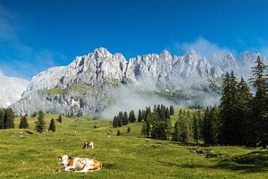 Berglandschap Oostenrijk van Ilya Korzelius