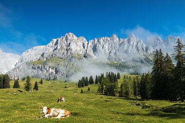 Paysage montagneux Autriche sur Ilya Korzelius