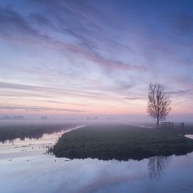 Ochtendsfeer aan de Nesse Tiendweg by Frans Batenburg