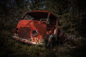 oldtimers van Rianne Kugel