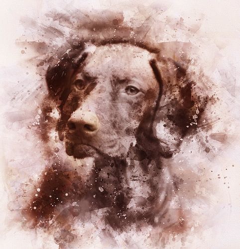 Vizsla hongrois, aquarelle dans les tons de brun