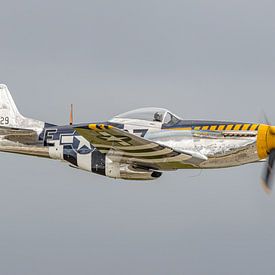 North American P-51D Mustang warbird. by Jaap van den Berg