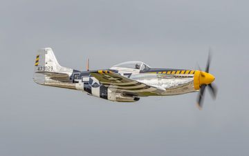 North American P-51D Mustang warbird. van Jaap van den Berg