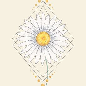 Feminine Focus | The Daisy by Kirsten Jense Illustraties.