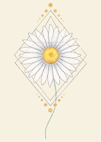 Feminine Focus | Het Madeliefje