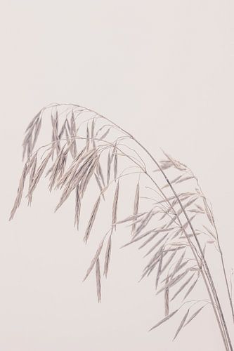 Schoonheid van de natuur 2