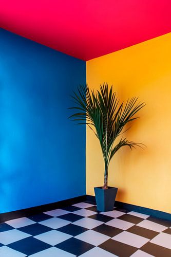 Bunte Ecke mit Pflanze