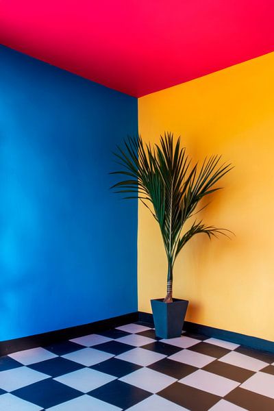 Bunte Ecke mit Pflanze von Poster Art Shop