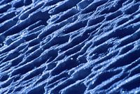 Neige #18