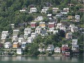 Huizen aan overkant fjord in Noorwegen von Toon Loonen Miniaturansicht