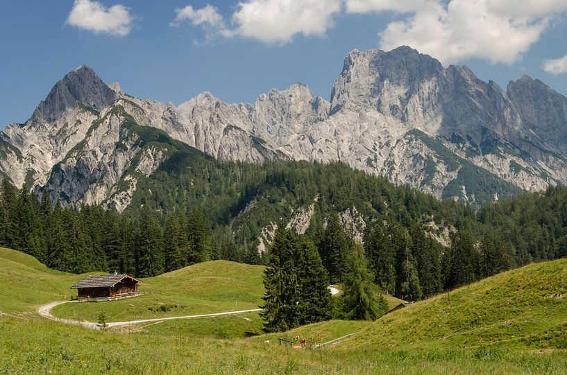 Mountain landscape. The Litzalm by Wil van der Velde