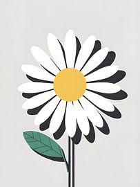 Gänseblümchenwonne