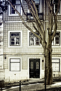 Der Baum