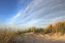 Schattenspiele von Ostsee Bilder