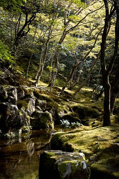 Park, Silbertempel, Japan von Erik de Witte