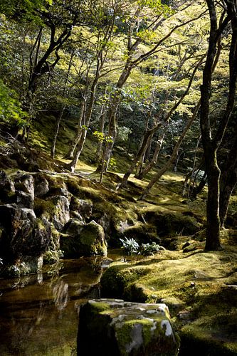 Park, Zilveren Tempel, Japan van Erik de Witte