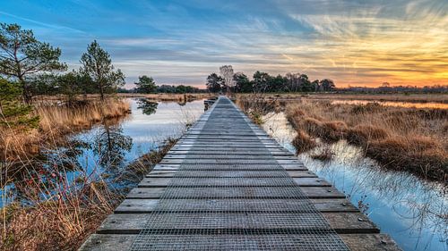 Sonnenaufgang in Buurs