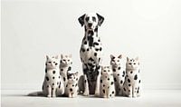 dalmatian cat