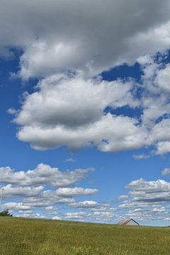 Een veld in de zomer onder een bewolkte hemel van Claude Laprise