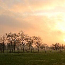 Pferd in der aufgehenden Sonne, Doezum, Groningen von Mark van der Werf