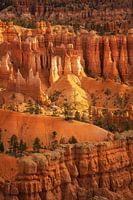 Hoodoos van Bryce