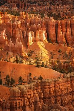 Hoodoos of Bryce by Martin Podt