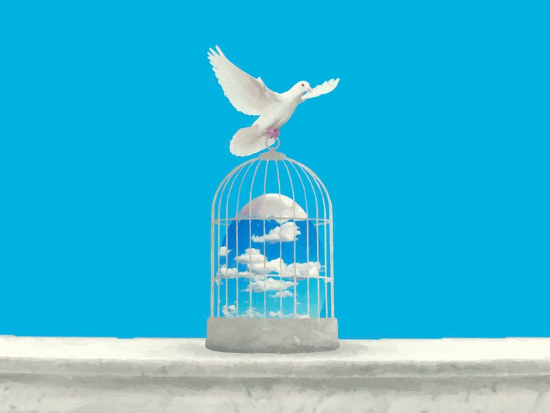 La cage bleue par Catherine Fortin