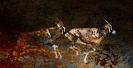 Namibia: On the run by Chris Moll