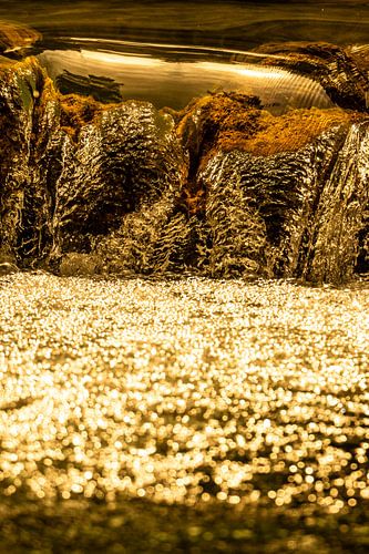 Gouden Tranen | Water