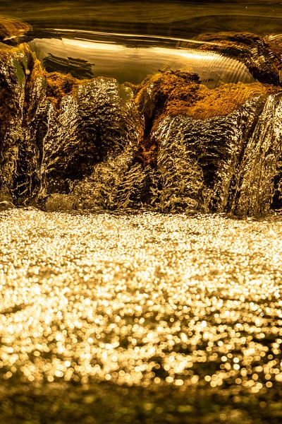 Gouden Tranen | Water van Femke Ketelaar