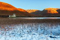 Kilchurn Castle von Daniela Beyer Miniaturansicht