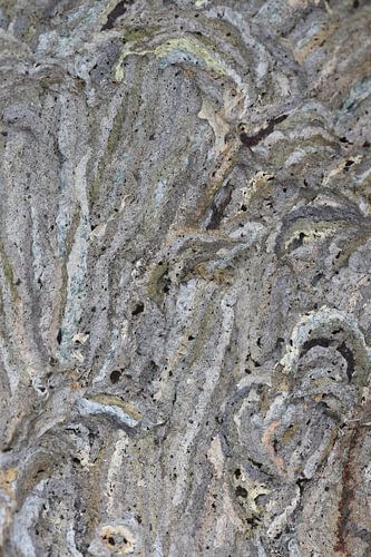 Structuur wespennest