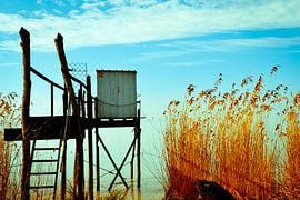 Carrelet sur Arnaud Bertrande
