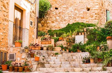 Traditional plant decoration on Mallorca island by Alex Winter