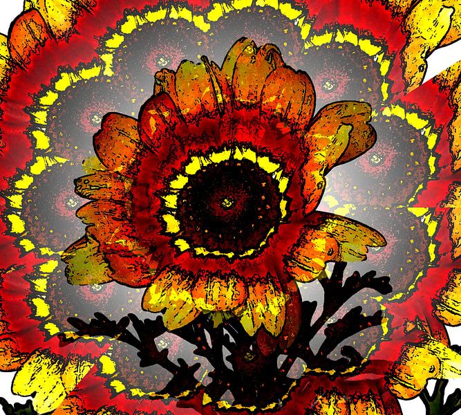 Ganzenbloem ( begoocheling ) van Jose Lok