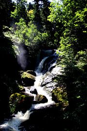 Triberg waterfall 3 by Paul Emons