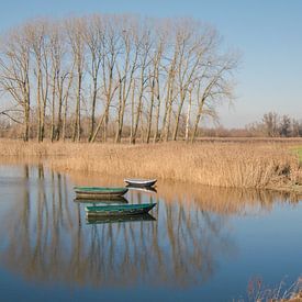 Nijmegen Ooijpolder van Caroline Guerain