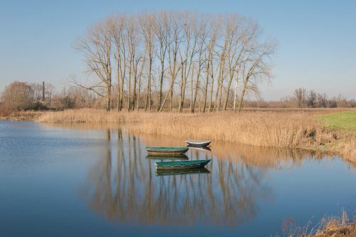 Nijmegen Ooijpolder sur Caroline Guerain