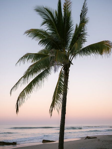 Coucher de soleil à Playa Santa Teresa | Photographie de voyage Costa Rica par Raisa Zwart Tirages photographiques de voyage