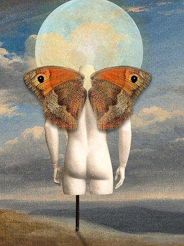 The Art of Fine Arts