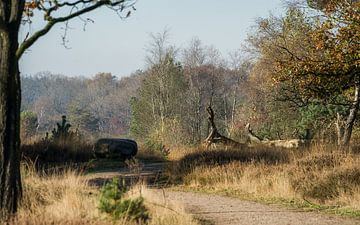 Aan het begin van de Herfst