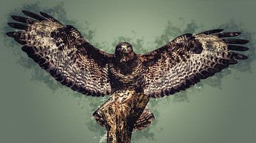 Buzzard - Bird of prey - in digital art version by Gianni Argese